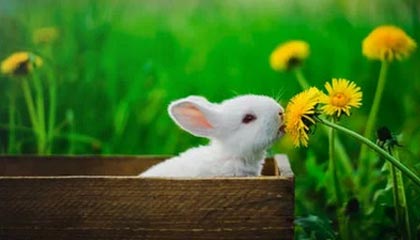 九游体育APP下载-世界青年田径赛，中国小将破三项全国纪录，2021年世界青年田径锦标赛开赛时间