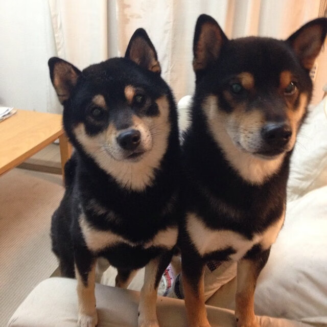 九游社区-女足世界杯历史回顾展，女足世界杯历史成绩