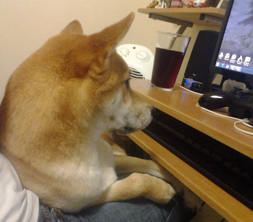 未来型足球场：环保、智能与观众体验的结合，足球 未来