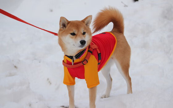 世界杯中国青年队惨败 球员心理成为焦点，中国足球世青队